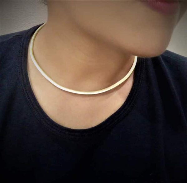 Statement Hasli Choker Necklace in Gold Plating Body